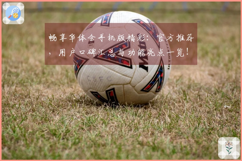 畅享华体会手机版精彩：官方推荐，用户口碑汇总与功能亮点一览！